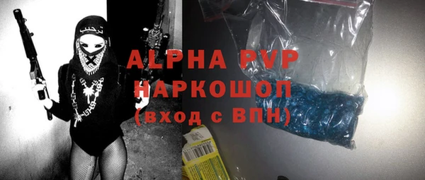 дживик Надым
