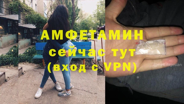 дживик Надым