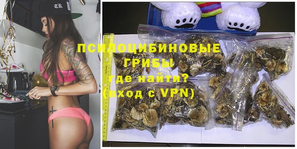 дживик Надым