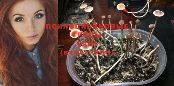 дживик Надым