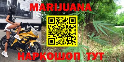 прущие крисы Бийск