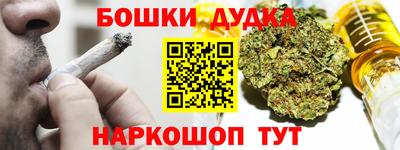 прущие крисы Бийск