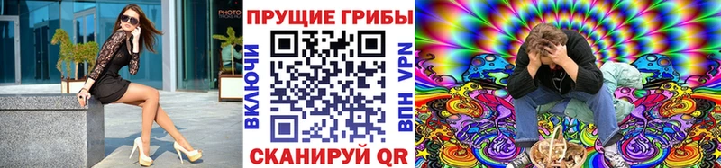 Псилоцибиновые грибы Psilocybe  Волгоград 