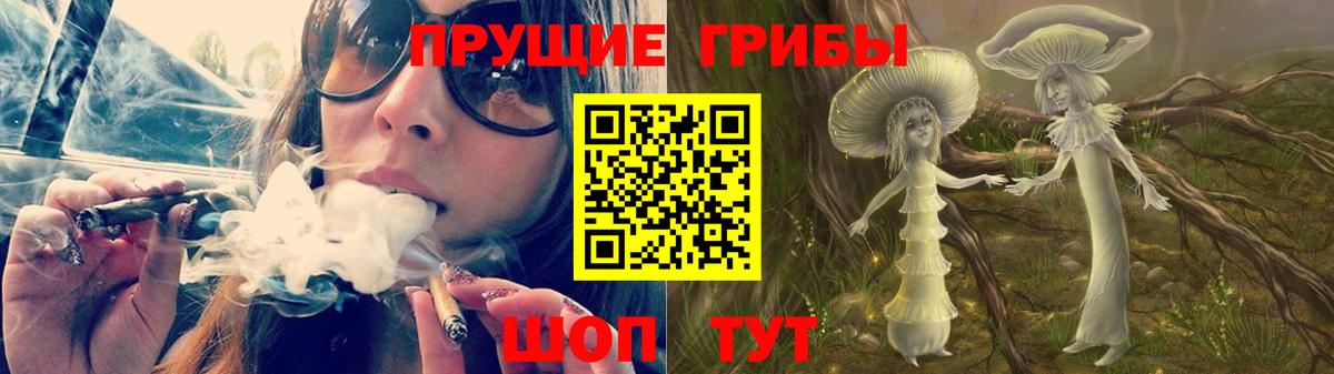 Галлюциногенные грибы ЛСД  Волгоград  где найти наркотики  Псилоцибиновые грибы Psilocybe 