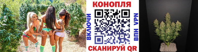 Каннабис гибрид  Волгоград 