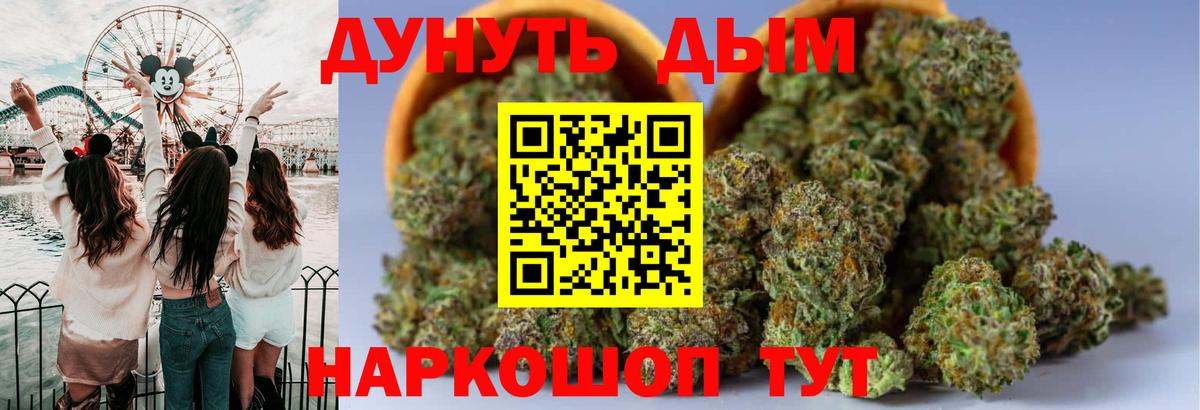 Волгоград  Бошки марихуана тримм  Шишки марихуана AK-47  Бошки Шишки план  Марихуана Bruce Banner  Вход с VPN 